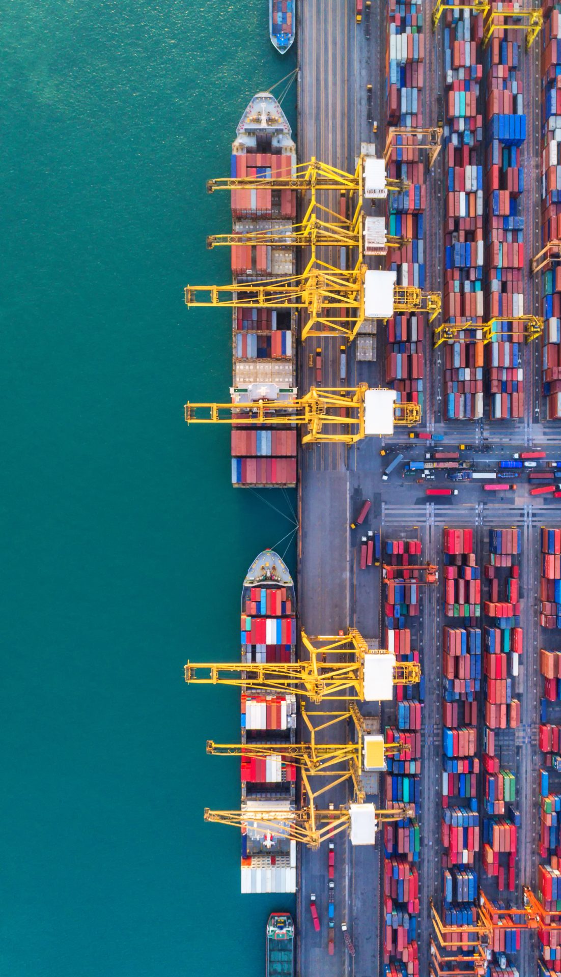 Packed Cargo handling 3