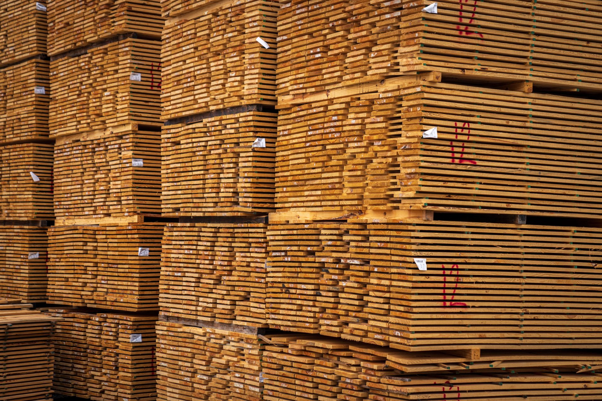 Packed Cargo handling 2